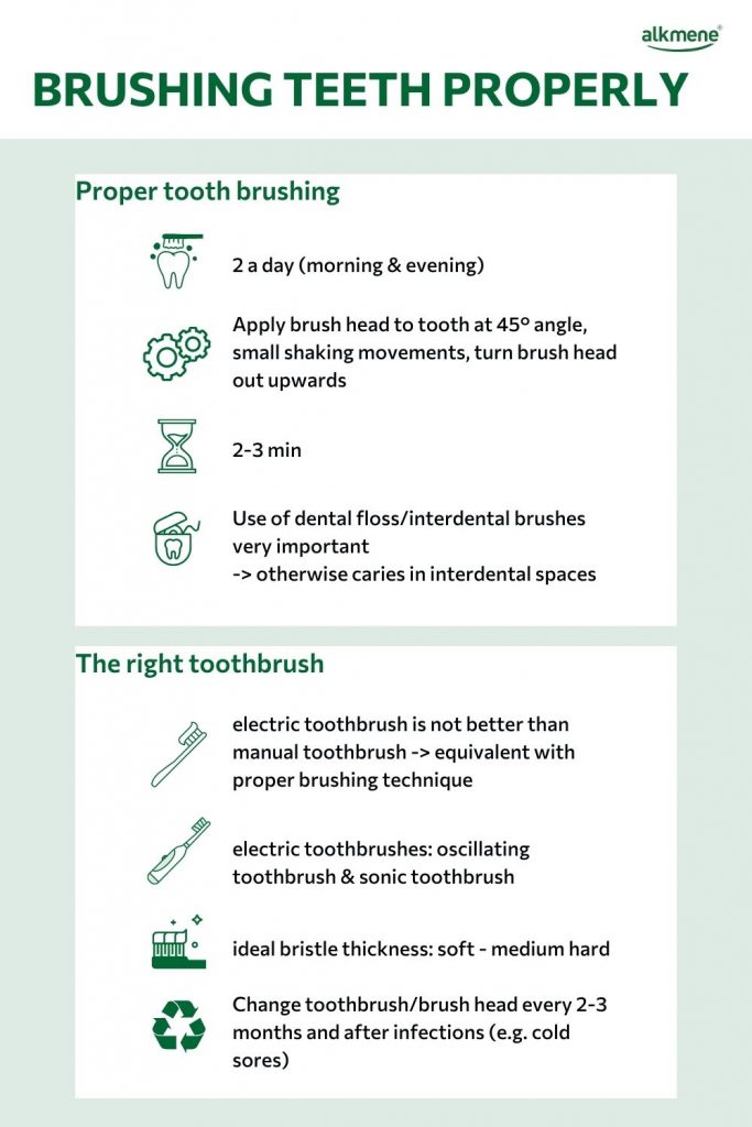 brushing teeth properly infographic