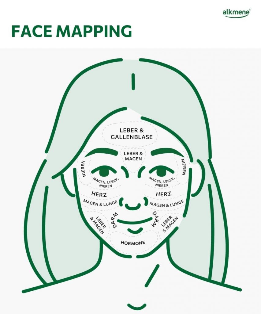 Face Mapping Zonen Infografik