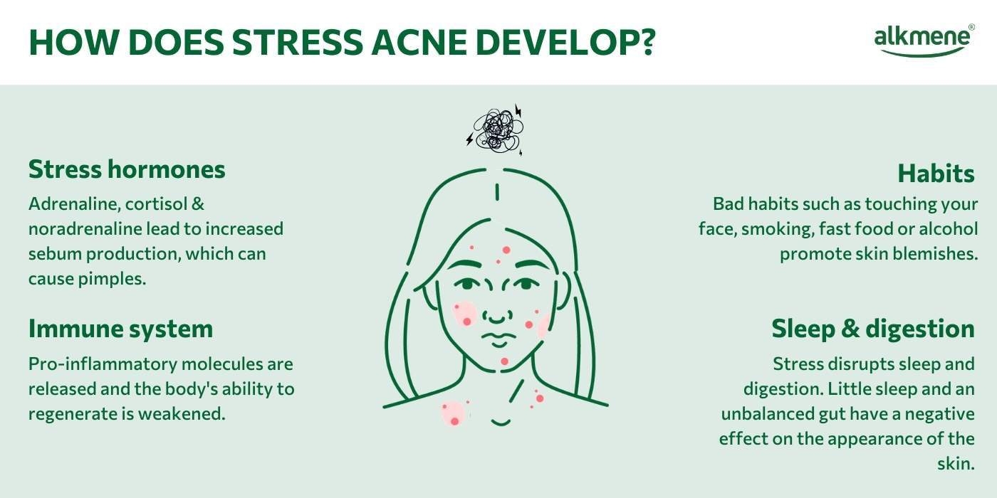 infografic on stress acne