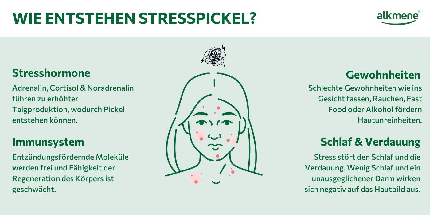 Infografik durch welche Faktoren die Entstehung von Stresspickeln beeinflusst wird