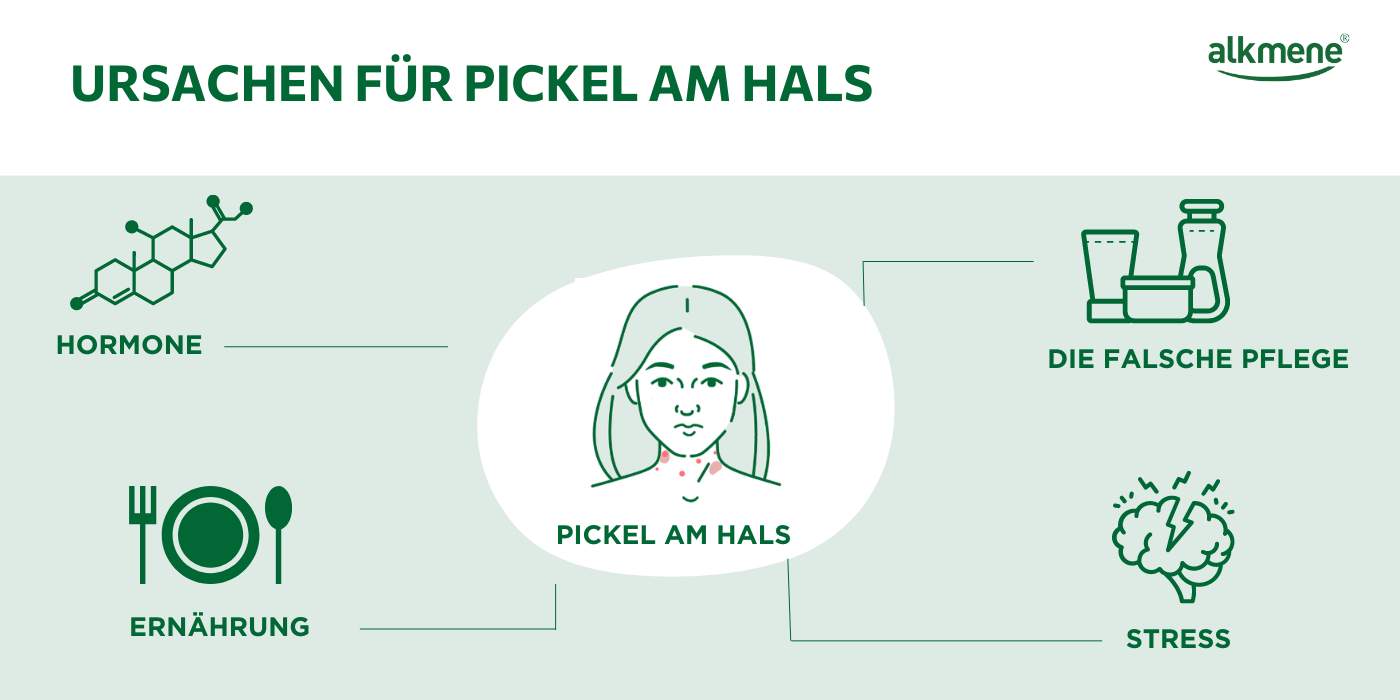 Infografik, die Ursachen für Pickel am Hals zeigt