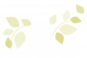 Brennnessel Ranke